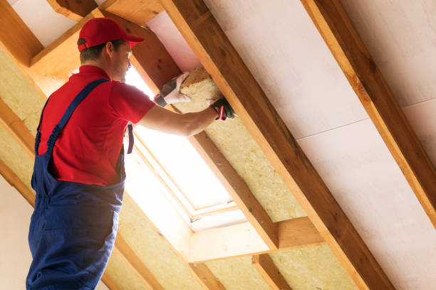 Best Attic Insulation Installation  in Warrenton, VA